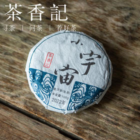 茶香记 小宇宙普洱生茶022 贺开古茶区 荒野古茶树 滋味鲜甜 花香悠长 山野气韵足