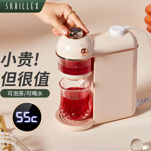 柯乐希  即热式饮水机 迷你茶吧机 电热烧水壶  RG-W40 商品图6