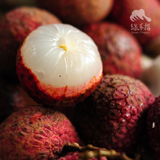 生态槐枝荔枝 | 合作生产 * Eco-litchi | Coproduction 商品图0
