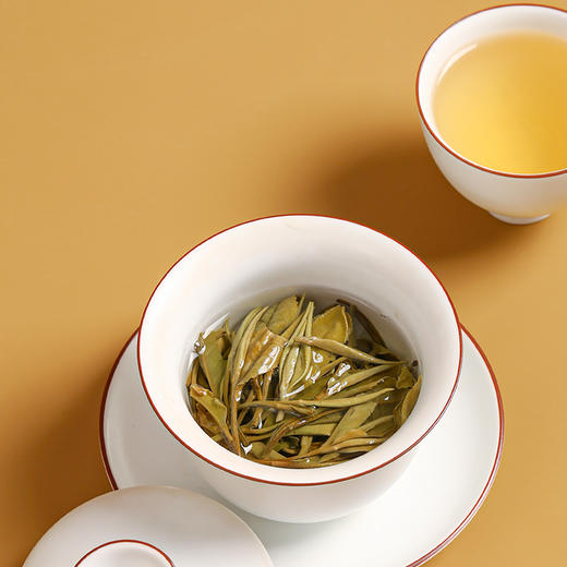 白茶丨一叶九鼎 2022年 春韵寿眉 500g 商品图4
