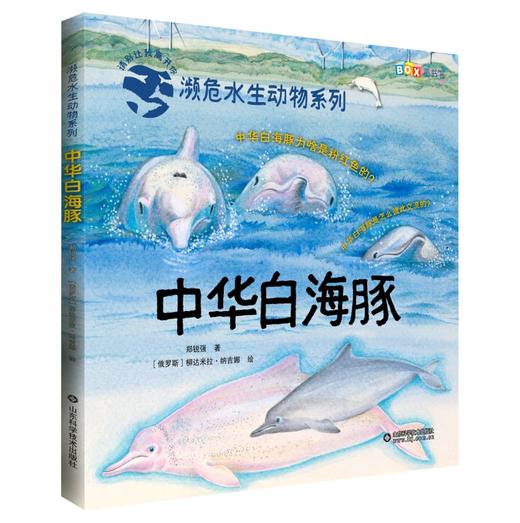 中华白海豚 商品图0