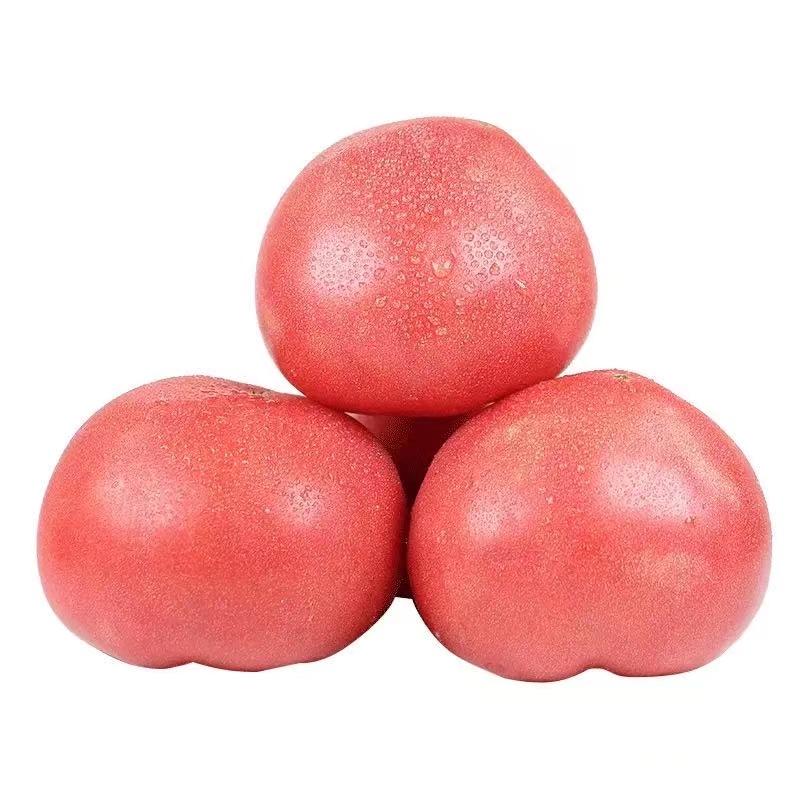 粉番茄（约400g）