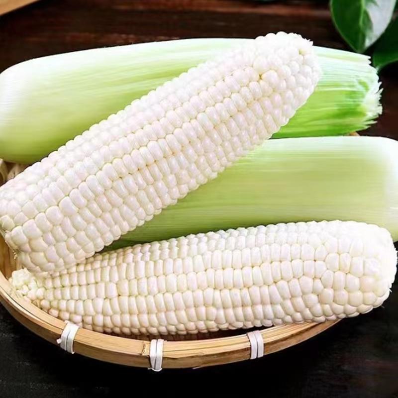 糯玉米（约450g）