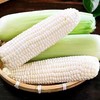 糯玉米（约450g） 商品缩略图0