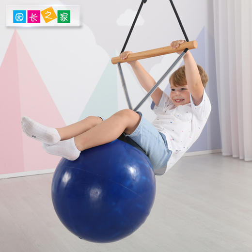 感统-秋千球 商品图1