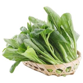 菜心（约300g）