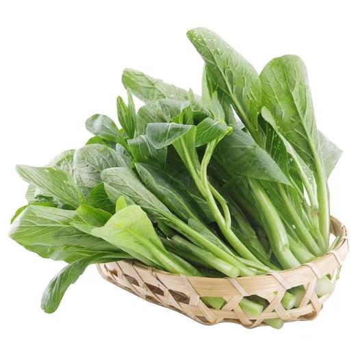 菜心（约300g） 商品图0