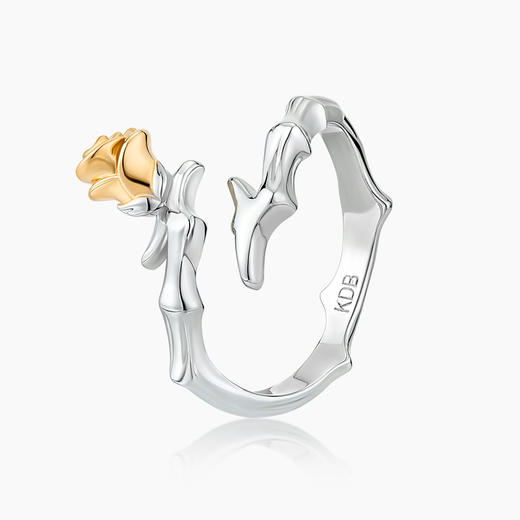 KADER小王子与玫瑰情侣戒指一对对戒生日礼物送男女友小众设计感 商品图4