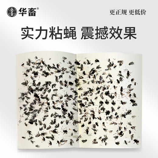 【积分兑换】粘蝇纸10张/包 加厚强力粘捕 商品图2