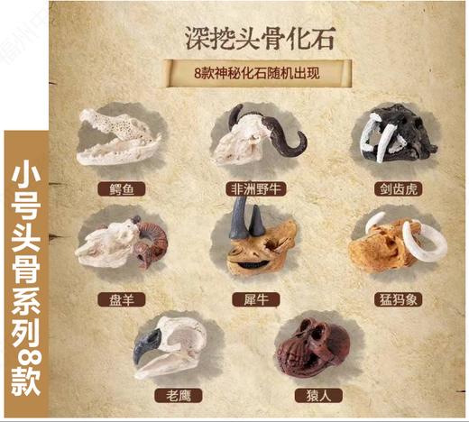 匹诺考古现场挖掘仿石小型版 商品图3