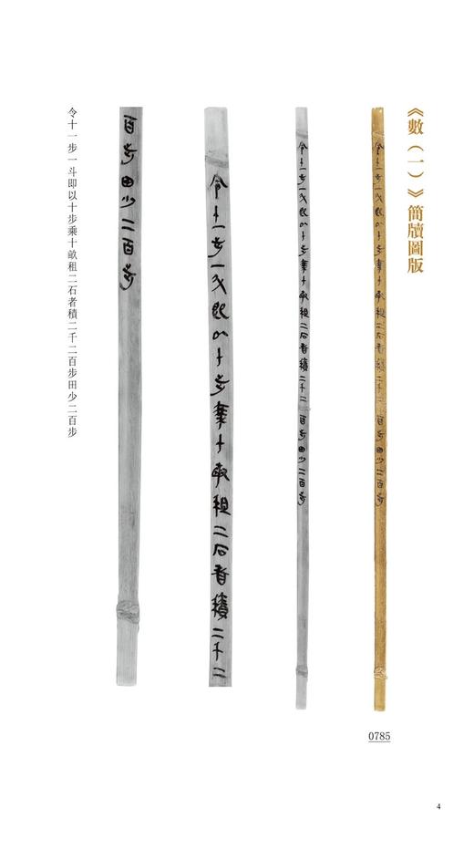 岳麓秦简书迹类编学为伪书案得之强与弃妻奸案田与市和奸案占梦书芮盗卖公列地案数（一）为吏治官及黔首亡律（一）——河南美术出版社 商品图9