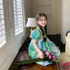 新款女童田园油画风连衣裙夏装新款女孩渐变色公主裙儿童短袖裙子 商品缩略图0