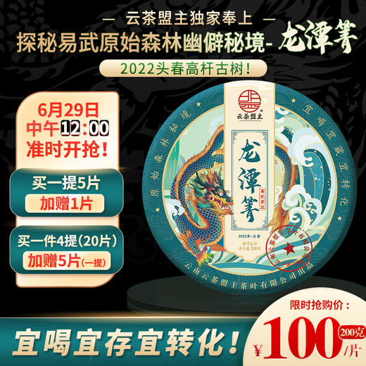 2022头春【云茶盟主】【易武-龙潭箐】打开原始森林幽僻秘境；只选10m以上高杆古树！仅有10棵树！线上首次发售！ 商品图0