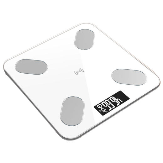 HX 四季电子秤S453150001101/02 商品图1