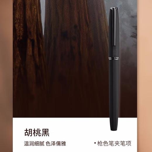 毕加索钢笔916自然系列钢笔硬笔书法练字铱金笔 商品图2