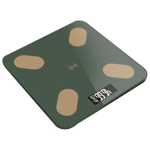 HX 四季电子秤S453150001101/02 商品图0