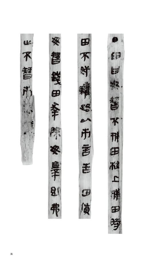 岳麓秦简书迹类编学为伪书案得之强与弃妻奸案田与市和奸案占梦书芮盗卖公列地案数（一）为吏治官及黔首亡律（一）——河南美术出版社 商品图3