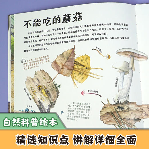 看！蘑菇 商品图2