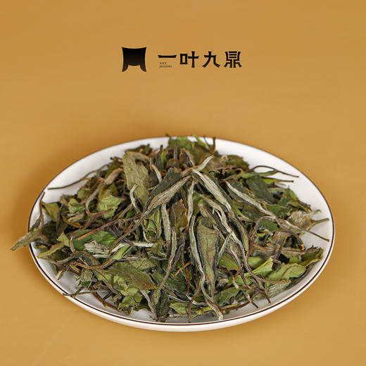 白茶丨一叶九鼎 2022年 春韵寿眉 500g 商品图2