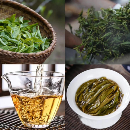 2022头春【云茶盟主】【易武-龙潭箐】打开原始森林幽僻秘境；只选10m以上高杆古树！仅有10棵树！线上首次发售！ 商品图3