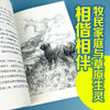 接力杯曹文轩儿童小说书系:黄羊角 中国儿童文学 成长故事 少年小说 商品缩略图3
