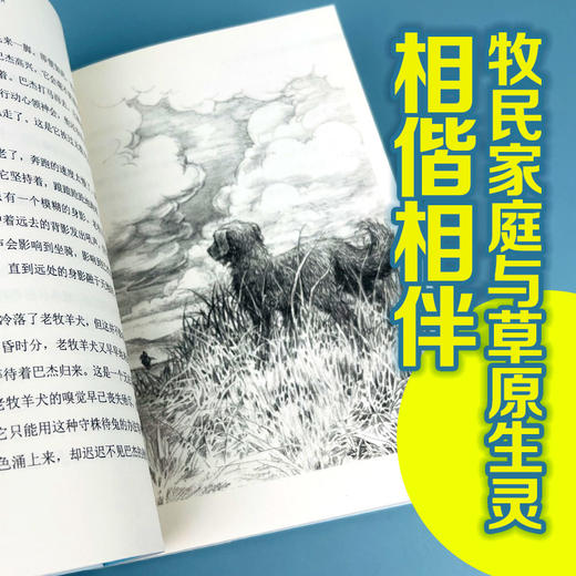 接力杯曹文轩儿童小说书系:黄羊角 中国儿童文学 成长故事 少年小说 商品图3