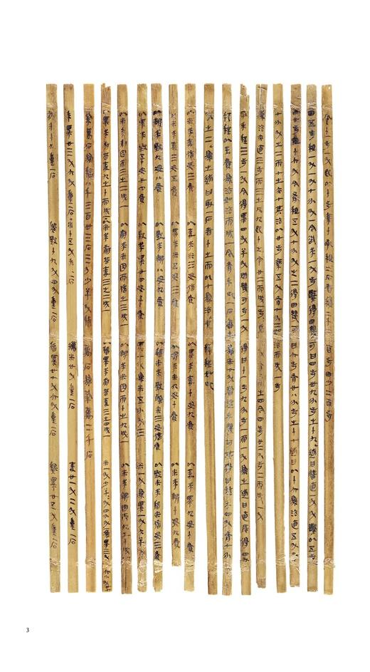 岳麓秦简书迹类编学为伪书案得之强与弃妻奸案田与市和奸案占梦书芮盗卖公列地案数（一）为吏治官及黔首亡律（一）——河南美术出版社 商品图8