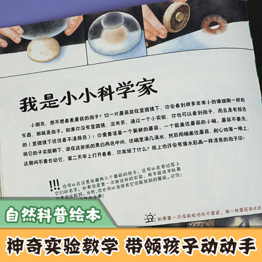 看！蘑菇 商品图3