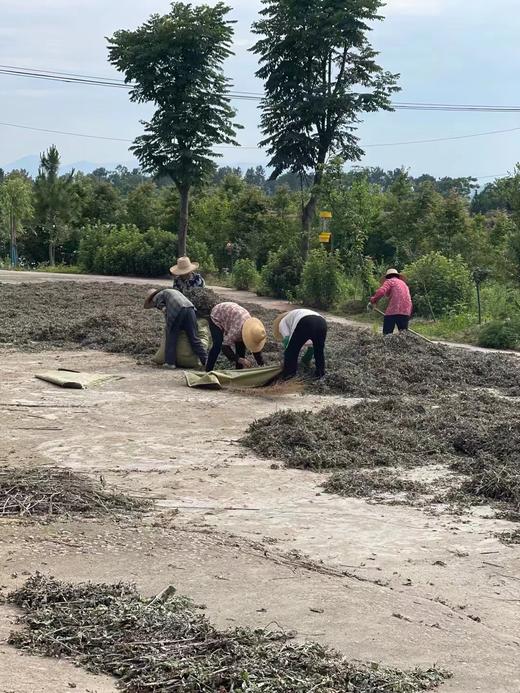 【随身灸/艾柱/艾条】有烟蕲艾条艾柱艾灸盒随身灸陈年纯艾绒艾草正品灸具艾灸家用 商品图10