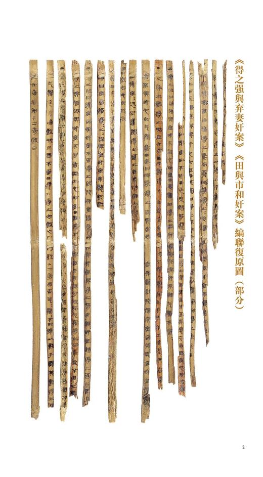 岳麓秦简书迹类编学为伪书案得之强与弃妻奸案田与市和奸案占梦书芮盗卖公列地案数（一）为吏治官及黔首亡律（一）——河南美术出版社 商品图1