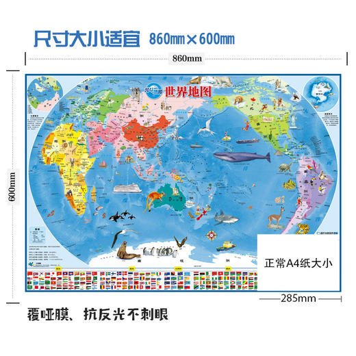 北斗 儿童地图绘图折叠版中国+世界地图 2张 商品图3