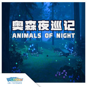 【北京】奥森夜探-寻虫记