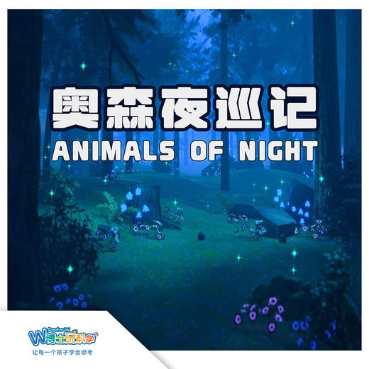 【北京】奥森夜探-寻虫记 商品图0