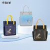 卡拉羊宇航计划系列多功能防水补习袋 商品缩略图0