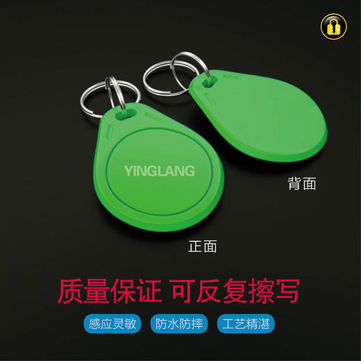 〖绿8007〗英朗1代IC 商品图2