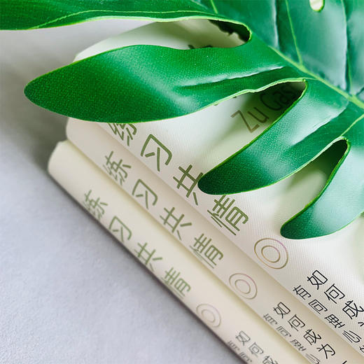 (仓发) 练习共情:如何成为一个有同理心的人/同心出版社/[德]彼得•迈克尔•巴克/9787547738399 商品图8