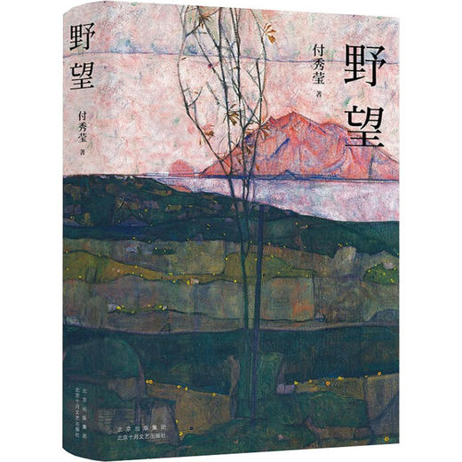 野望 商品图0