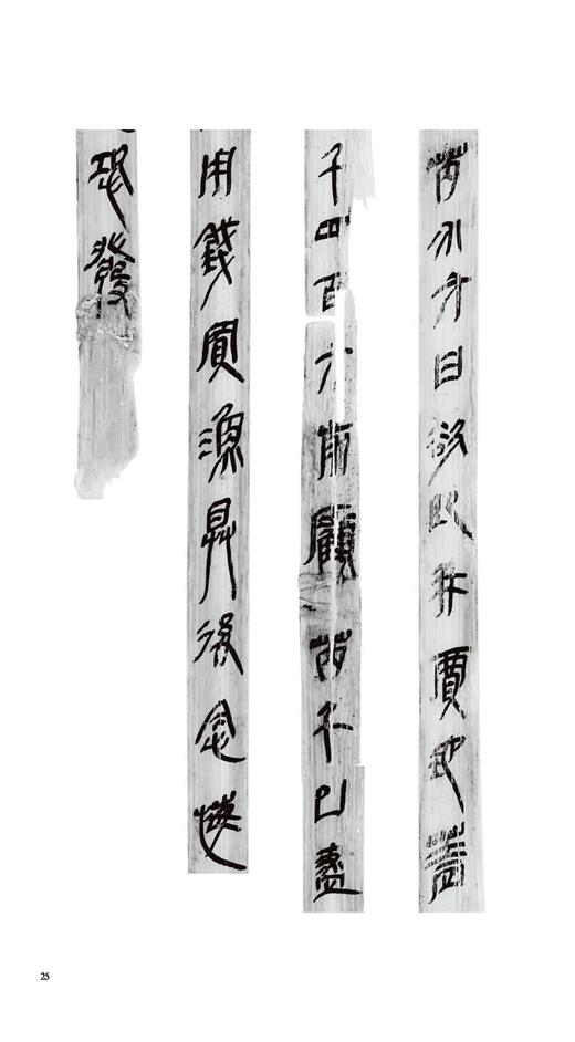 岳麓秦简书迹类编学为伪书案得之强与弃妻奸案田与市和奸案占梦书芮盗卖公列地案数（一）为吏治官及黔首亡律（一）——河南美术出版社 商品图6