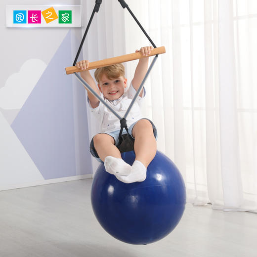 感统-秋千球 商品图2