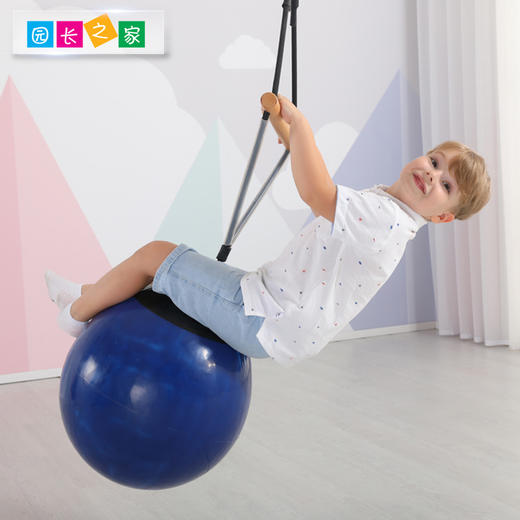 感统-秋千球 商品图3