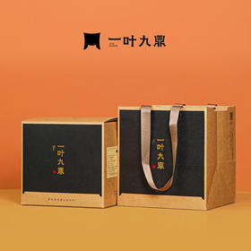 白茶丨一叶九鼎 2022年 春韵寿眉 500g