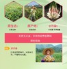 QXF剁椒仔姜200克*2瓶 商品缩略图6