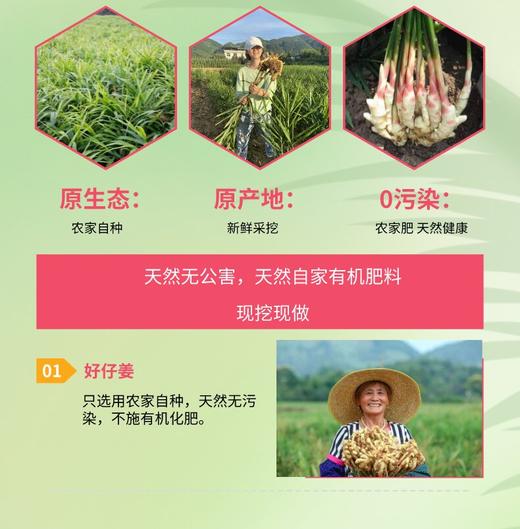 QXF剁椒仔姜200克*2瓶 商品图6