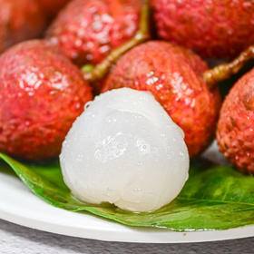 乌叶荔枝【顺丰发货】