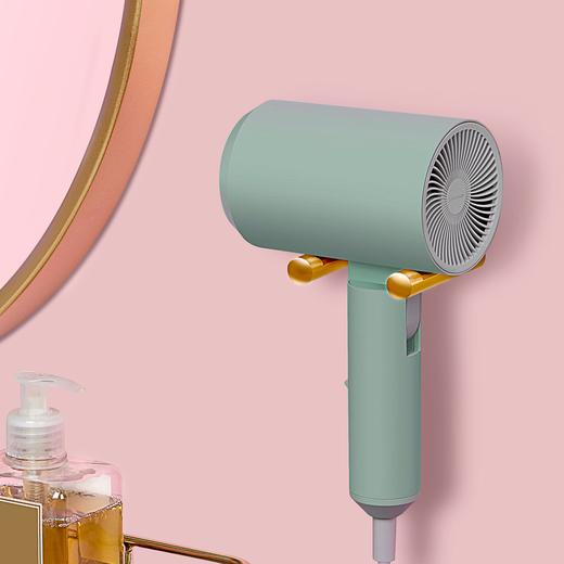 【高颜值 负离子吹风机】Lowra rouge罗拉吹风机CL-202 低辐射负离子护发电吹风筒 陶瓷远红外速干 可折叠 孕妇可用 商品图3