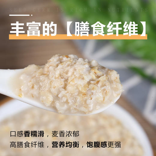 金谷力青藏高原有机皮燕麦片糯香皮燕麦750克早餐熟麦片 商品图6