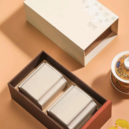 素言茶坊   蒸蒸日上  茗茶物语  茉莉花茶  100g*2罐 商品图0