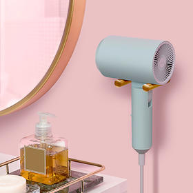 【高颜值 负离子吹风机】Lowra rouge罗拉吹风机CL-202 低辐射负离子护发电吹风筒 陶瓷远红外速干 可折叠 孕妇可用