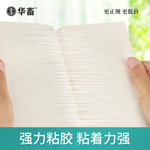 【积分兑换】粘蝇纸10张/包 加厚强力粘捕 商品图3