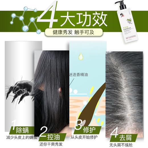 【控油又除螨良心国货】修正青花椒洗发露除螨去屑控油改善干枯毛躁无硅油柔顺洗发水 商品图1